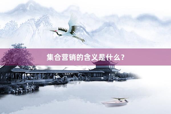 集合营销的含义是什么？