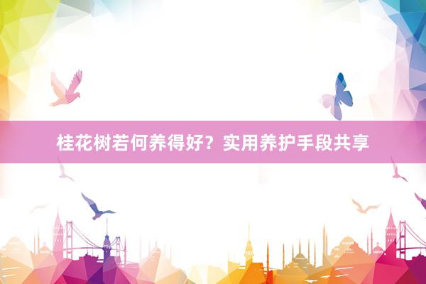 桂花树若何养得好？实用养护手段共享