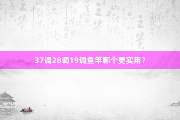 37调28调19调鱼竿哪个更实用？