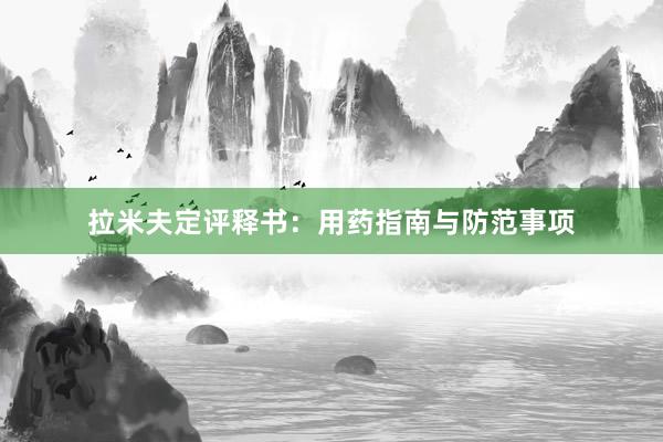 拉米夫定评释书：用药指南与防范事项